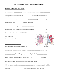 Image result for Cardiovascular Worksheets