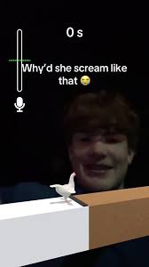 Traumatized Bird with Filter