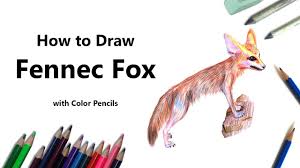 In this drawing tutorial we will teach how to draw a fennec fox in a fun and simple way while sharing facts about the species. How To Draw A Fennec Fox With Color Pencils Time Lapse Youtube