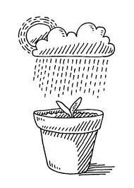 Hand Drawn Vector Drawing Of A Flower Pot Plant Black And White Zeichnung Pflanzen Zeichenvorlagen