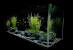 How To Decorate A Fish Tank With Household Items