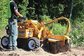 330 Stump Grinding Ideas Stumped Tree Service Stump Removal