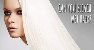 Run your hair under a cool stream of water (be it in the shower or sink). Can You Bleach Wet Hair And The Reason Why Lewigs