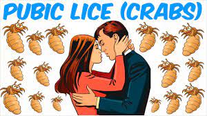 Pubic Lice Crabs Youtube