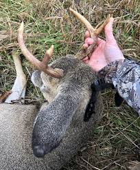 The muzzy trocar 100 grain is the optimal choice if you are looking for broadheads that can provide excellent accuracy, at the same time with arrow stabilization. Are Fixed Blade Broadheads Dead Or Deadly Outdoorhub