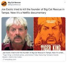 Murder, mayhem, and madness and the reaction has been lightning fast, especially the tiger king memes. Tiger King Murder Mayhem And Madness Know Your Meme