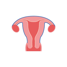 Some symptoms include pelvic pain, heavy periods, pain. Https Www Xn Mestruazionisenzatab Gdc It 2018 10 Cose Lendometriosi E Cosa La Causa Ecco Quali Sono I Sintomi La Diagnosi E I Possibili Trattamenti
