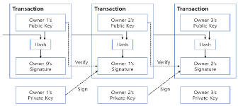 The bitcoin.com explorer provides block, transaction, and address data for the bitcoin cash (bch) and bitcoin (btc) chains. A Bitcoin Transaction Download Scientific Diagram