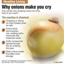 Why Does Cutting Onions Make One's Eyes Water, And What's The Best Way To Prevent  Their Doing So? - Quora
