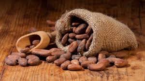 Feves De Cacao Sechees Gingembre Aphrodisiaque Aphrodisiaque Naturel Vertus Du Gingembre