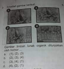 Limbah anorganik nya adalah plastik baja dan beling sampah anorganik berasal dari sumber daya alam kimia yang tidak terpakai maka hal ini juga merupakan suatu kerajinan tidak dapat. 2 Amatilah Gambar Berikut Gambar Limbah Lunak Organik Ditunjukkanoleh Nomor A 1 2 3 B Brainly Co Id