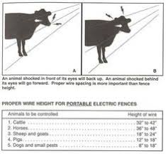 How far apart should fence posts be? 72 Fences Ideas Farm Fence Fence Horse Fencing