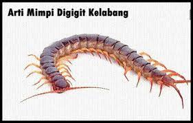 Apakah maknanya jika anda bermimpi lipan? Arti Mimpi Digigit Kelabang Menurut Primbon Jawa Dan Psikolog