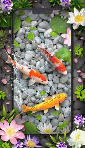 Beruntung Ikan Koi Wallpaper Hidup For Android Apk Download