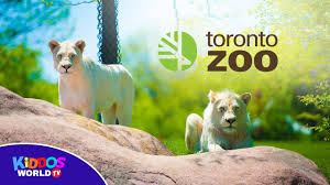 Toronto zoo panther kangaroo animals. Toronto Zoo 2019 Full Tour Fun Animals For Children And Toddlers Youtube