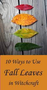 Thor felled his enemies with one mighty blow of his hammer. 10 Ways To Use Fall Leaves In Witchcraft And Magic Moody Moons Witchcraft Spells Witchcraft Autumn Leaves
