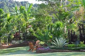 Le Jardin Tropical De L Hotel Cominsia Lodge A Kep Au Cambodge Tropical Garden Garden Landscape Design Landscaping Plants