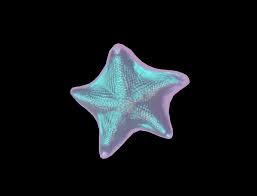 There are 5821 purple starfish for sale on etsy, and they cost $14.41 on average. Second Life Marketplace Starfish 2 Pink Purple