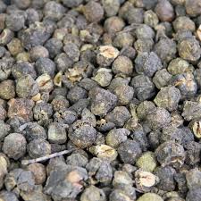 Image result for Phyllanthus paxii