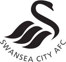 All information about swansea (championship) current squad with market values transfers rumours player stats fixtures news. 8 Swansea City Ideas Swansea City Swansea City