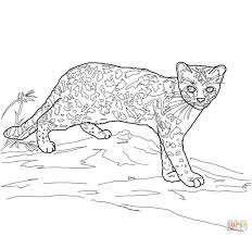 Free wild cat animal printable coloring pages download. Pin On Animals