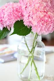 Here are our best tips and faqs for how to plant, grow and care for if you're looking for a garden flower with show appeal, hydrangea flowers are truly stunning. Pin On Flowers