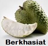 Cuci bersih dan setelah itu rebus dengan sukatan 2 gelas air, didihkan biarkan menjadi 1 gelas.minumlah dua kali sehari, pagi dan petang untuk mendapatkan khasiat sebenarnya. Anim Agro Technology Teh Daun Durian Belanda Hebatnya