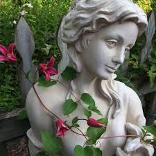 Can Japanese Maples be grown in Minnesota, zone 4b/5a?