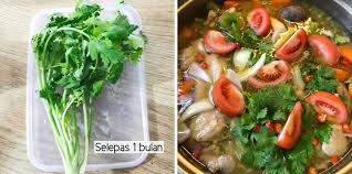 Berikut pak tani digital akan membagikan informasi mengenai hal tersebut. Petua Simpan Daun Ketumbar Supaya Kekal Segar Hijau Selepas Sebulan Daily Makan
