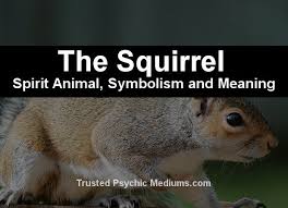 The Squirrel Spirit Animal A Complete Guide To Meaning And Symbolism Spirit Animal Animal Totem Spirit Guides Spirit Animal Meaning