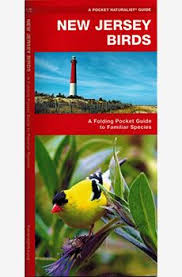 Identification Birds Of New Jersey Field Guide New Jersey Birds An Introduction To Familiar Species Frequently Seeing In The State New Jersey Species Naturalist