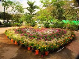 Hanging Basket Tree Flowers The Big Heart Design Is Easily Accomplished With The More Common Garden Show Annual Garden Horticulture