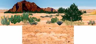 Shoe Box Diorama Backgrounds Shoe Box Diorama Diorama Desert Diorama