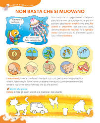 In Fondo Al Mar 3b Discipline By Elvira Ussia Issuu