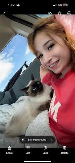 Looking for new home…Japanese Bobtail Cat named Bobby. Private message for  more information. Thanks