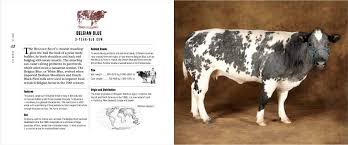 Belgian blue is on line for the new standards. Beautiful Cows Portraits Of Champion Breeds By Val Porter 9781782407621 Booktopia