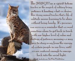 Animal Spirit Guide Totem Angel Message Meaning Spiritual Correspondence Witch Ma Animal Totem Spirit Guides Animal Spirit Guide Animal Spirit Guides