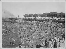 Memory And The Origins Of The Reserva Ecologica Costanera Sur In Buenos Aires Environment Society Portal