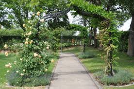 Скачать с яд скачать с nexusmods. Rosenbogen Aus Metall Vom Hersteller In Bester Qualitat Online Kaufen