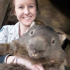 Patrick the Wombat arouses social media.
