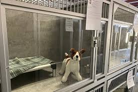 Check spelling or type a new query. Dog Boarding Dog Daycare In Waukee Ia Waukee Bark Avenue