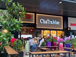 Famous Thai Milk Tea Brand Cha Tra Mue Opens At Paya Lebar Quarter To Huge Crowds On 1st Day Nestia
