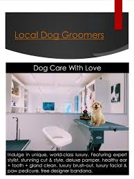 Successful pet groomers possess certain personal qualities. Local Dog Groomers Near Me By Cheap Grooming Issuu
