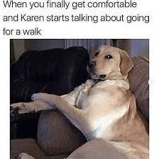 Treat Yourself With These 35 Fresh Hot Doggo Memes Funny Animal Memes Funny Dog Memes Most Hilarious Memes