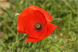 Mary cathryn galvin (born bouffier) was born on month day 1879, at birth place, to martin bouffier and mary agnes bouffier (born smith). God Els Blogs