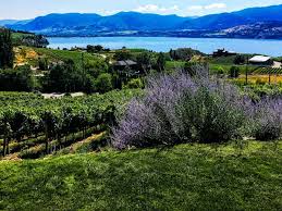 Check spelling or type a new query. Top Things To Do In Kelowna British Columbia Wine Country Discover The Pacific Northwest
