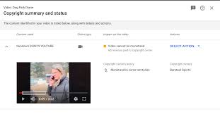 We did not find results for: Barstool Sports Claimed To Be Copyright Owners Of Dog Park Diane Video Preventing Us From Monetizing Our Own Content Turtleboy