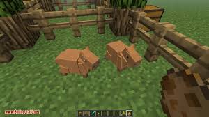 More images for minecraft zoo tutorial no mods » Minecraft Zoo Crafting Mods Syurat F