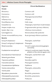 Image result for Pharyngitis