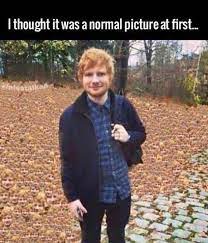 Ed Sheeran Meme By Xyda13 Memedroid